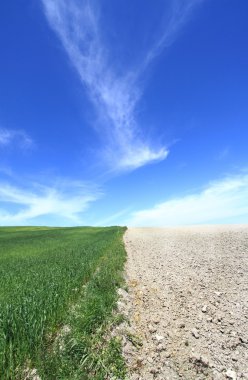 doğa ile tarım alanı