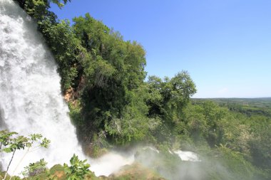 doğal yeşil orman şelale