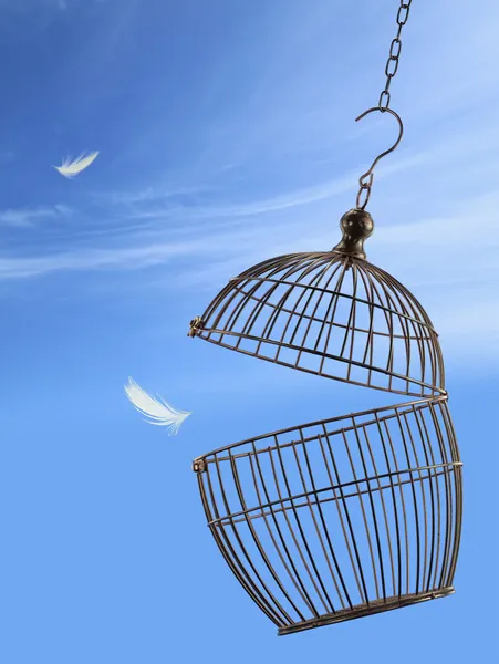 Il concetto di libertà. Fuggendo dalla gabbia — Foto Stock