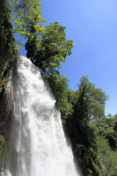 stock image Natural waterfall in green forest