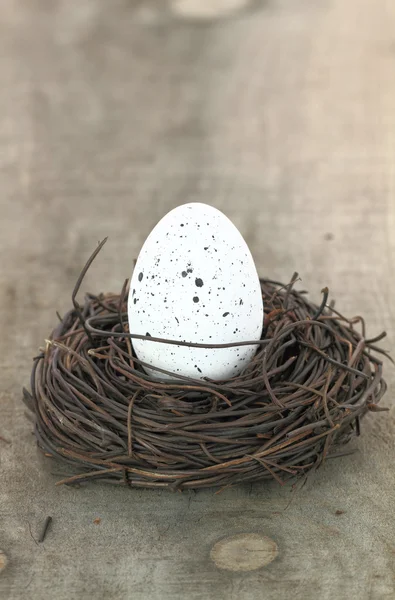 Huevo blanco en el nido — Foto de Stock