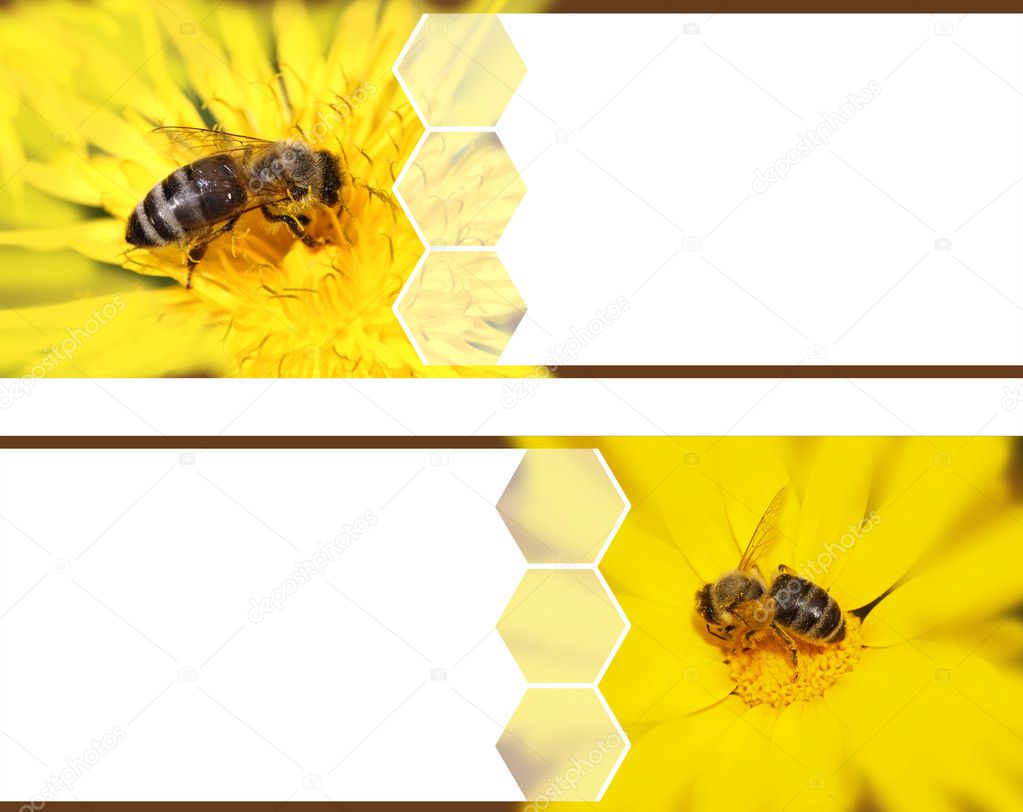 Honeybee banners
