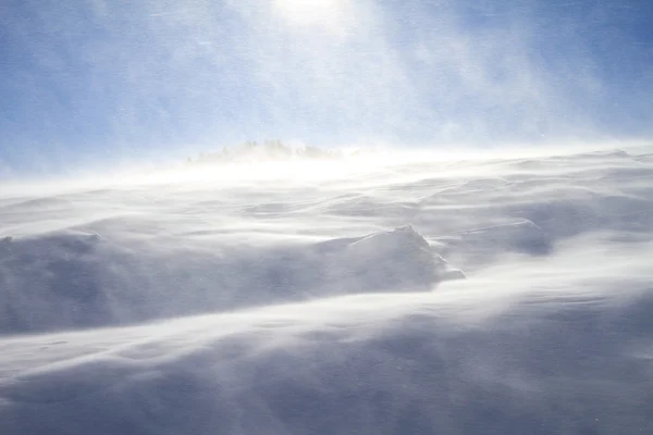 Kar fırtınası — Stok fotoğraf