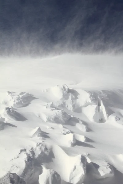 stock image Snowstorm