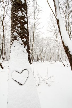 Heart shape on a snow covered tree clipart