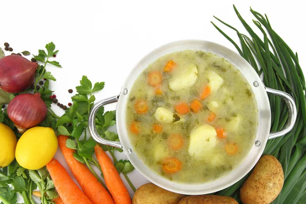 Świeże zupa jarzynowa w garnku z warzyw mieszanych wokół niego — Zdjęcie stockowe