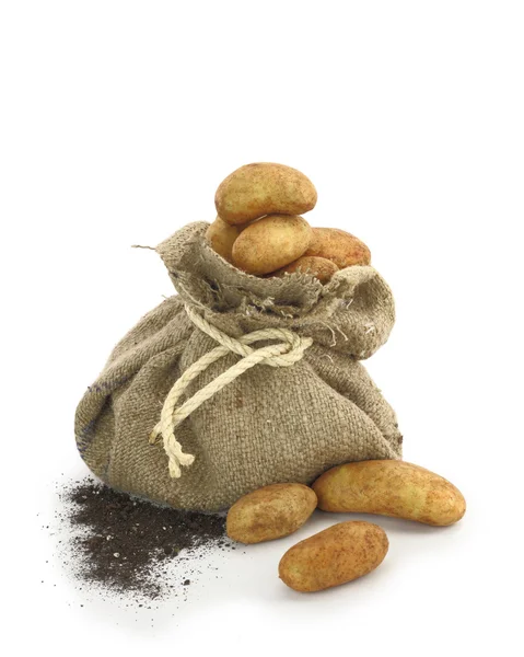 Pommes de terre dans un sac de toile de jute — Photo