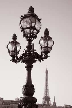 Pont Alexandre III Bridge with the Eiffel Tower, Paris clipart