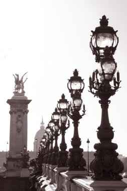 Pont Alexandre III Bridge in Paris clipart