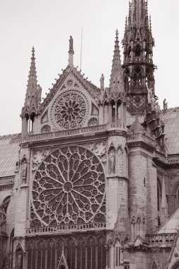 Notre Dame Katedrali, Paris