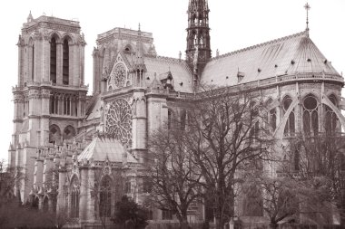 Notre Dame Katedrali, Paris