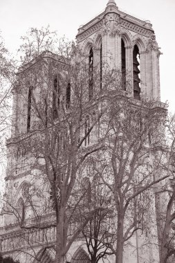 Notre Dame Katedrali, Paris