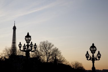 Pont Alexandre III Bridge with the Eiffel Tower, Paris clipart