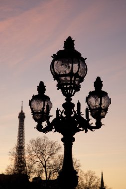 Eyfel Kulesi, paris Pont alexander III Köprüsü elektrik direği