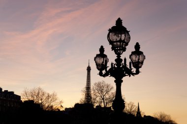 Pont alexander III Köprüsü, paris