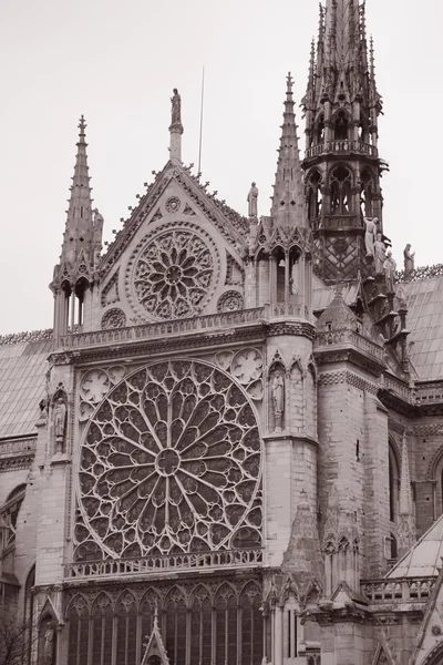 Catedral de Notre Dame, París —  Fotos de Stock