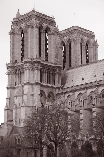 Katedra Notre Dame, Paryż — Zdjęcie stockowe