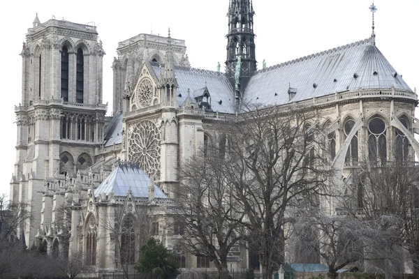 Notre Dame kathedraal, Parijs — Stockfoto