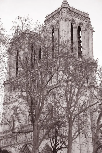 Notre Dame Katedrali, Paris — Stok fotoğraf