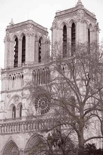 Catedral de Notre Dame, París — Foto de Stock