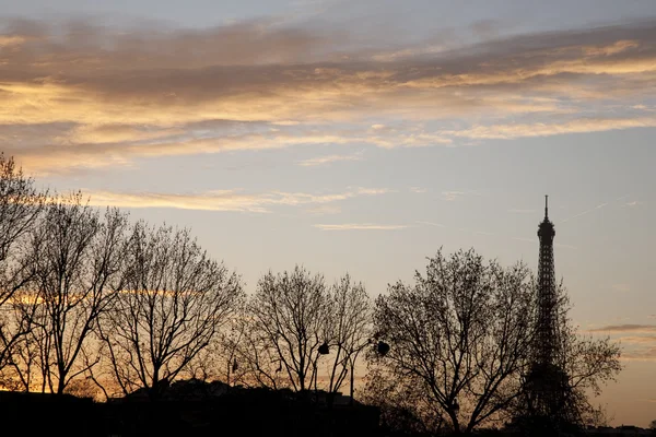 Eyfel Kulesi ve kış ağaçlar, paris — Stok fotoğraf