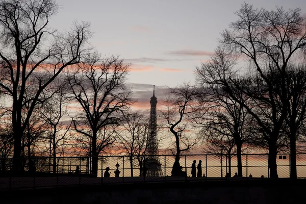 Эйфелева башня и зимние деревья, Париж — стоковое фото