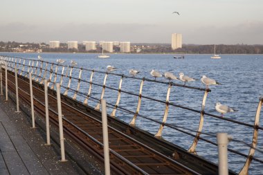 Hythe Pier in Southampton clipart