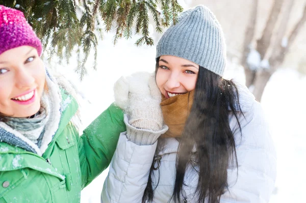 Dwie młode dziewczyny szczęśliwy zabawa w winter park — Zdjęcie stockowe