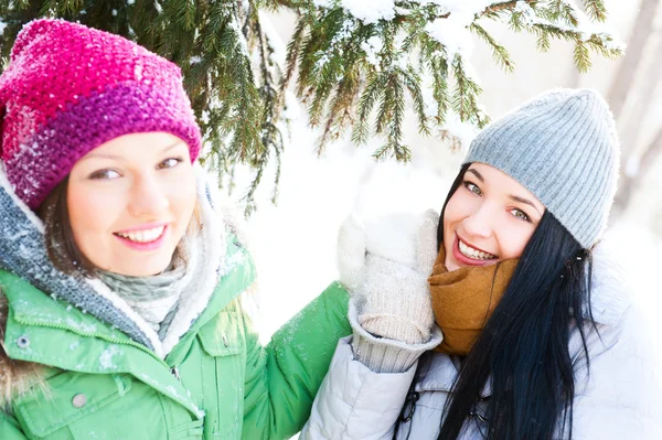 Två glada vänner, ha kul i vinter — Stockfoto