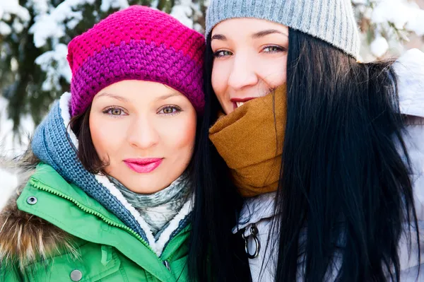 Dvě zimní ženy procházky a v zimě parku spolu povídat. b — 图库照片