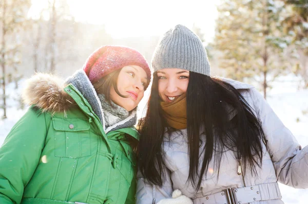 Two winter women walking and chatting together in winter park. — Stock Photo, Image