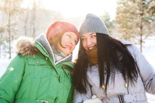 Två vinter kvinnor promenader och chatta tillsammans i Vinterparken. b — Stockfoto