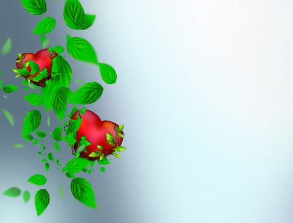 Zwei schöne helle Herzen von roter Farbe mit grünen Blättern schweben — Stockfoto