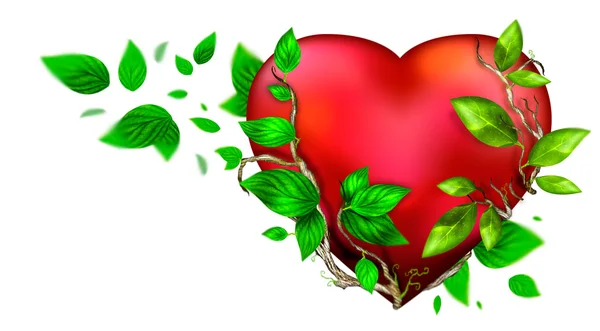 Beautiful bright heart of red color with green leaves floating a — Stock Photo, Image
