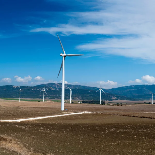 Moinhos de vento em paisagem de verão da Andaluzia, Espanha, Europa — Fotografia de Stock