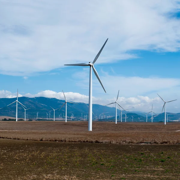 Windmühlen in der sommerlichen Landschaft von Andalusien, Spanien, Europa — Stockfoto