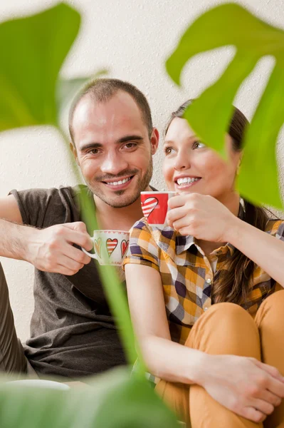 Attractive young adult couple sitting close on hardwood floor in home smiling, drinking beverage and laughing. Monstera plant on foreground in blur — Zdjęcie stockowe