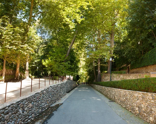 Stock image Asphalt road