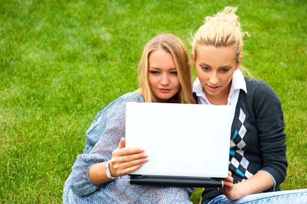 Portrait of two smiling women using laptop on a green meadow at the city park. Photo from above — Stock Photo, Image