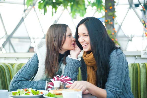 Zwei schöne Frauen trinken Kaffee, essen zu Mittag und unterhalten sich im Café — Stockfoto