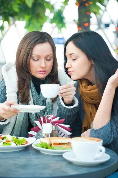 Две красивые женщины обедают и болтают в кафе — стоковое фото