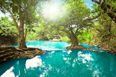 Clean lofty river at deep tropical fores at Dalat, Vietnam clipart