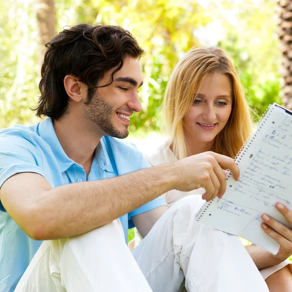 Feliz casal de estudantes com um caderno sentado na grama na cam — Fotografia de Stock