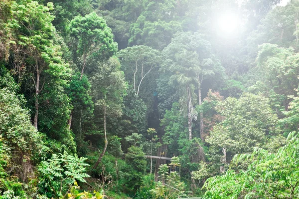 Vista delle montagne della giungla a Dalat, Vietnam — Foto Stock