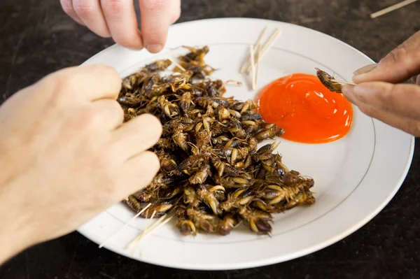 Smažené cvrčci jídlo vtipu omáčka — Stock fotografie