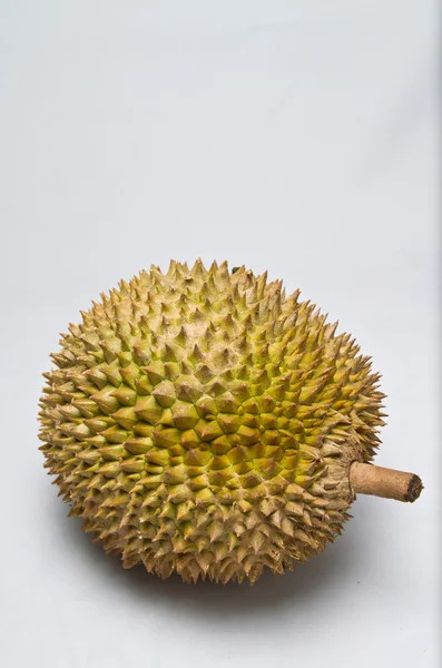 Hele durian close-up ii — Stockfoto