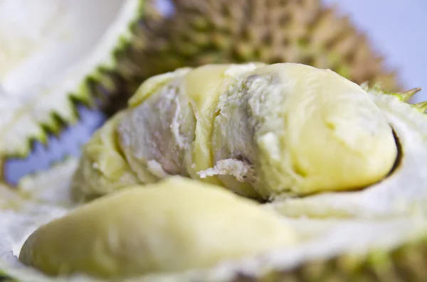 Durian maso — Stock fotografie
