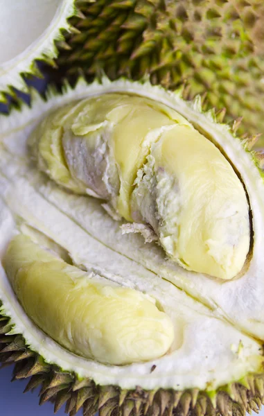Loupaná durian closeup ii — Stock fotografie