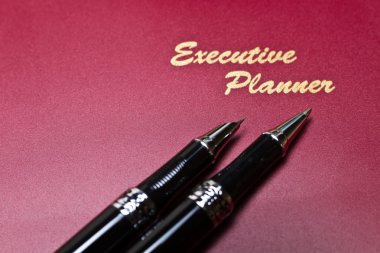 Executive planlayıcısı ve kalem serisi IV