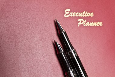 Executive planlayıcısı ve kalem series II